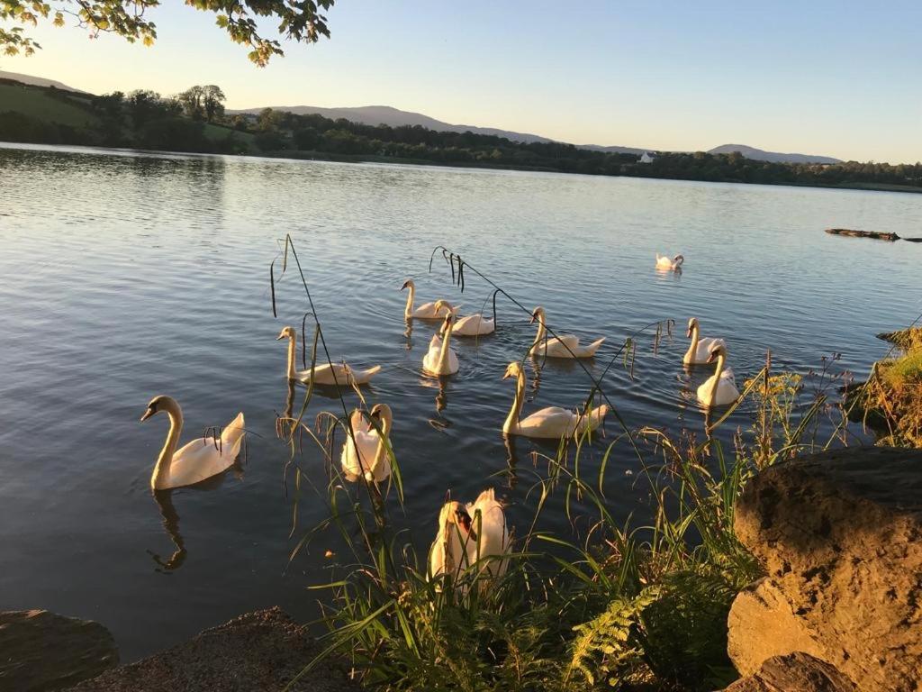 Lakeside Lookout Bantry Cork Exteriér fotografie