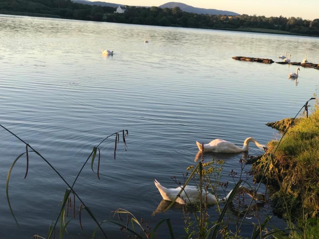 Lakeside Lookout Bantry Cork Exteriér fotografie
